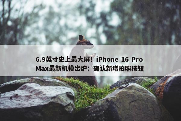 6.9英寸史上最大屏！iPhone 16 Pro Max最新机模出炉：确认新增拍照按钮